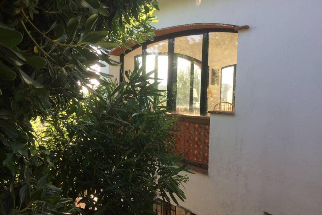 Jolie Villa Vue Mer - 100Km Au Nord De Barcelone - Pals Zewnętrze zdjęcie